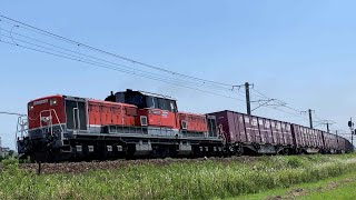 DD51-1804 JR貨物更新色 + コキ　JR関西線（白鳥信号場） /　JR DD51-1804（JRF Type） Freight Trains　Yatomi,Aichi