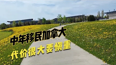 《我妻之死》有感中年人移民要慎重，逃離加拿大的中年中產移民。什麼樣的人適合移民？什麼樣的人能在加拿大找到專業工作？ - 天天要聞