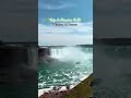 NCT Family: Niagara-on-the-Lake