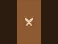 Butterfly logo concept 🦋 with vector ink #hiddenlogo#brandmark#logoinspiration#visualidentity
