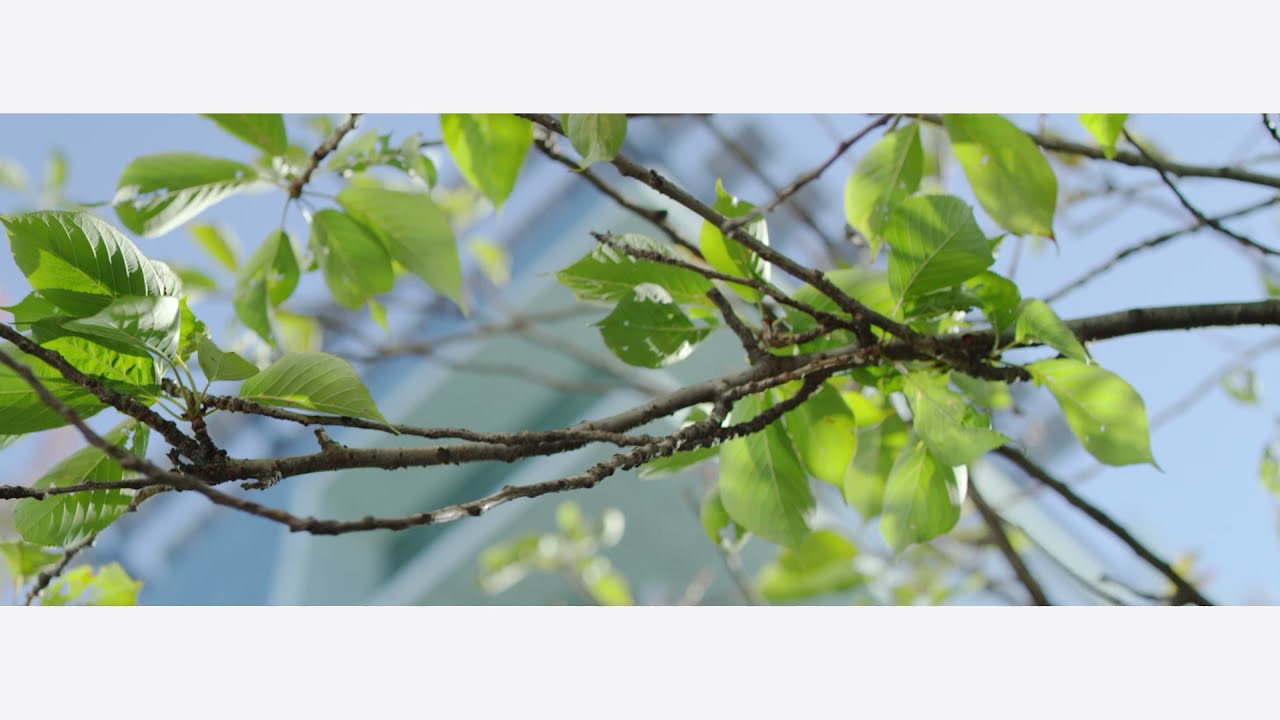 TELUS | Bâtir un futur durable