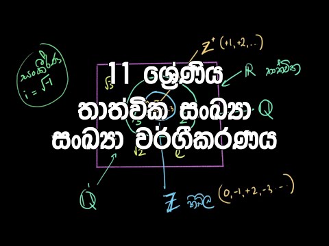 11 ශ්‍රේණිය - තාත්වික සංඛ්‍යා - සංඛ්‍යා වර්ගීකරණය | Grade 11 – Real Numbers (Thathwika Sankhya)