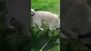 Adana Merkez Park Pazar Gezmesi