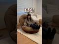 狭い部屋にも置きやすい🙌一生触っていたくなるもちもち感MAXのソファ🛋️#RASIK #ラシク #ソファ #一人暮らし