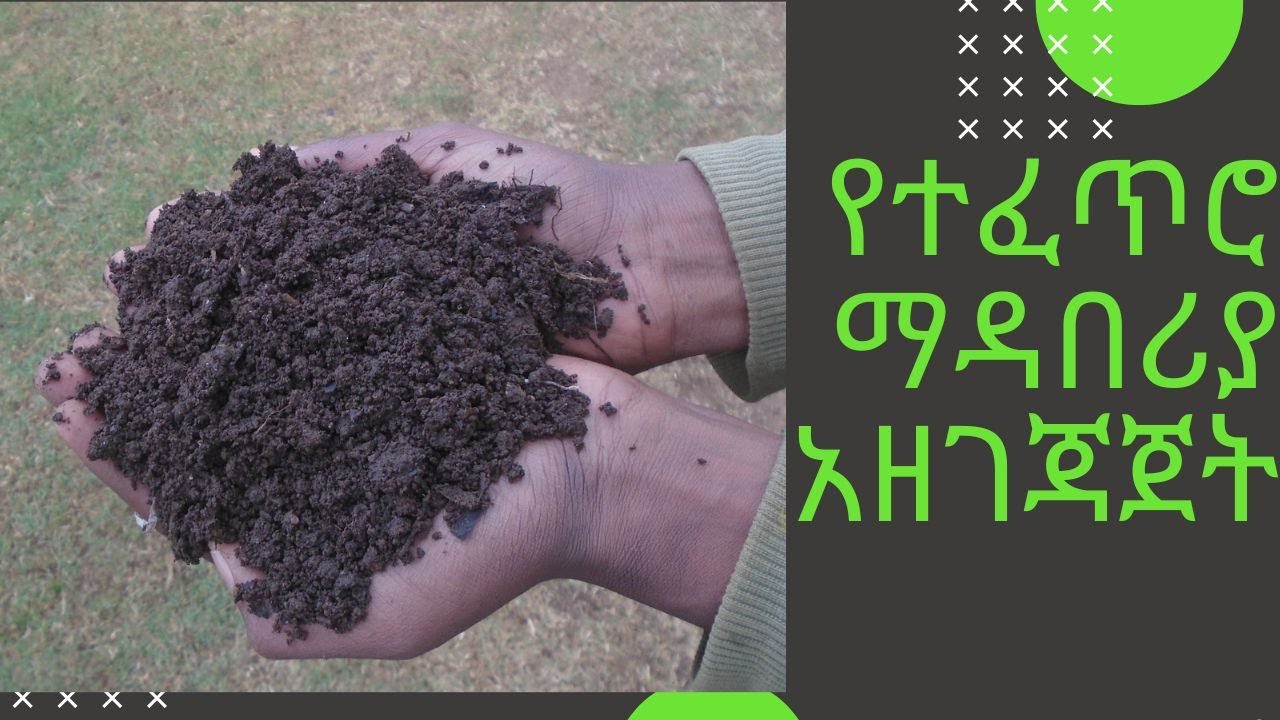 የተፈጥሮ ማዳበሪያ አዘገጃጀት ቦታ ለሌለን/ቆሻሻ መጣያዬ ክፍል-1 /Composting part-1#Familyagriculture#FACE #የቤተሰብግብርና 10
