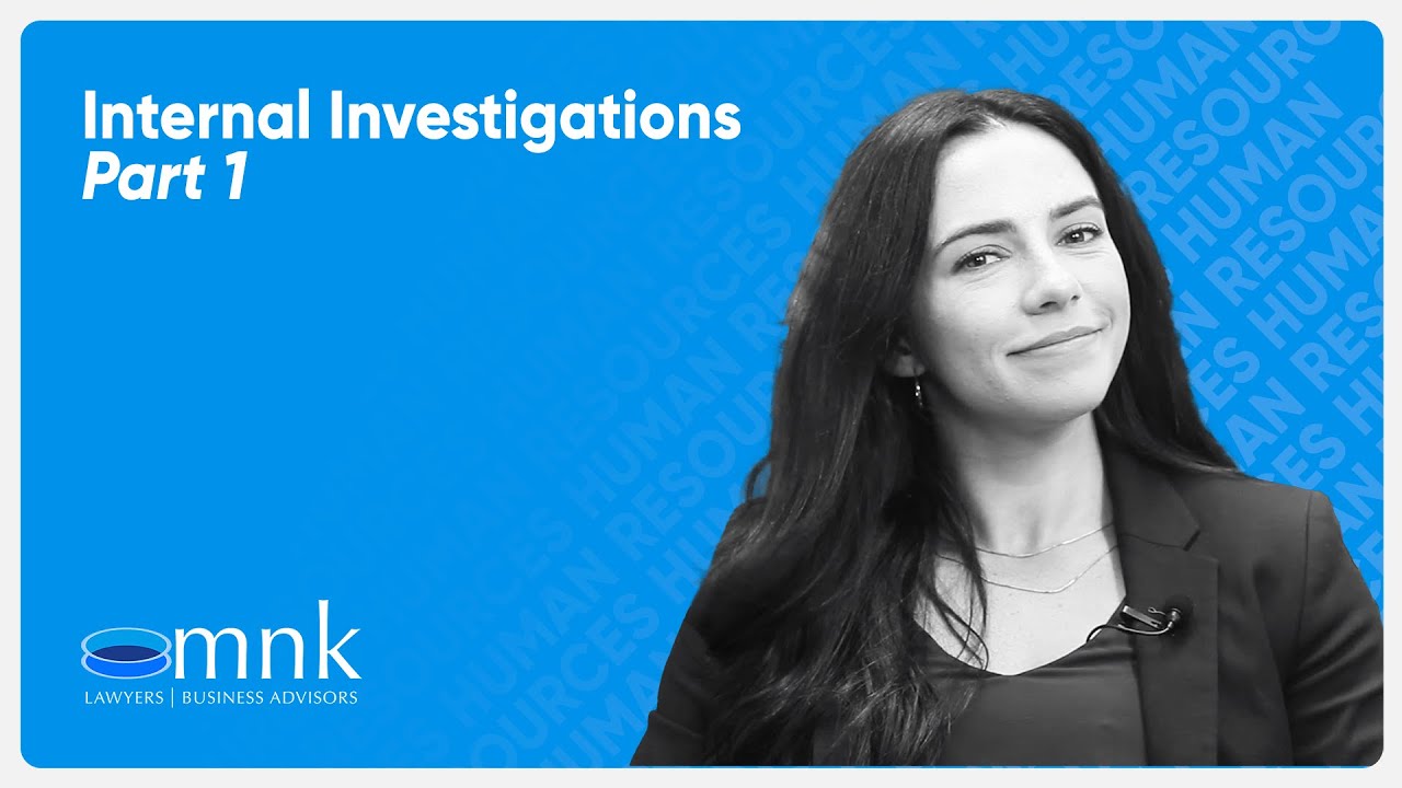 Internal Investigations - Part 1 | MNK Law (101)