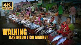 KASIMEDU FISH MARKET - KASIMEDU MEEN MARKET - KASIMEDU - INDIA'S BIGGEST FISH MARKET - MEEN MARKET