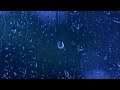 Drifting to Sleep Soundly in 3 Minutes with Relaxing Rain Sounds on the Window. Relax, study, focus