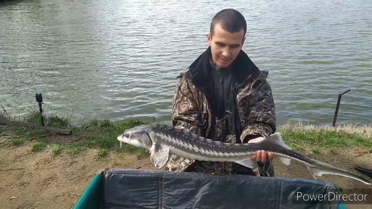 Horgásztókereső / Biztató horgásztó. (A legjobb szezon kezdés. ) - YouTube