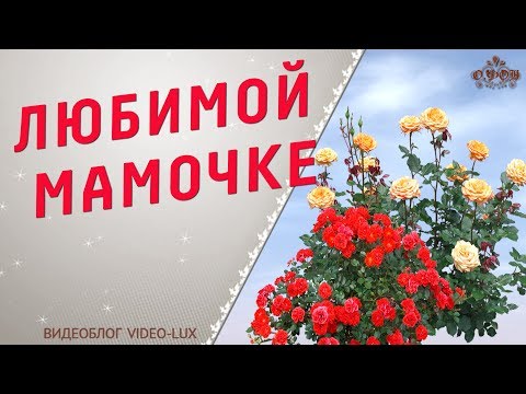 ✿✿✿Мама Лучшая песня для мамы