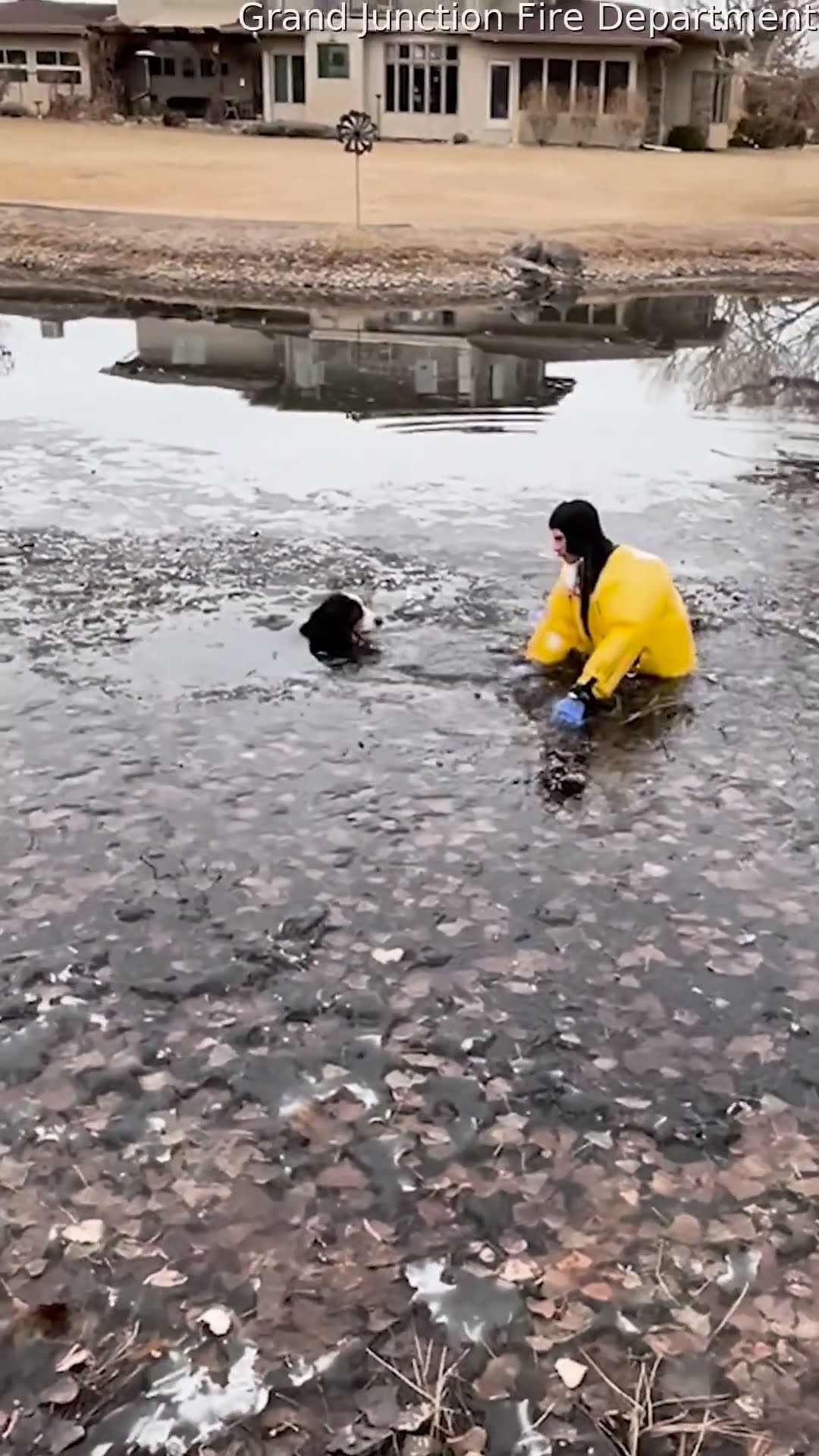 Firefighter Rescues Dog From Residential Frozen Pond || ViralHog