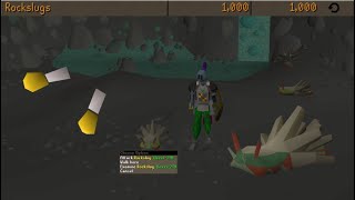 Loot from 1,000 Rockslugs [OSRS]