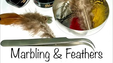 Marbling & Feathers
