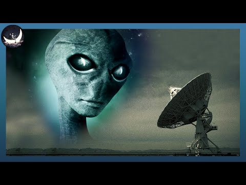 Video Chúng Ta Đã Gửi Thông Điệp Gì Cho Người Ngoài Hành... - youtube