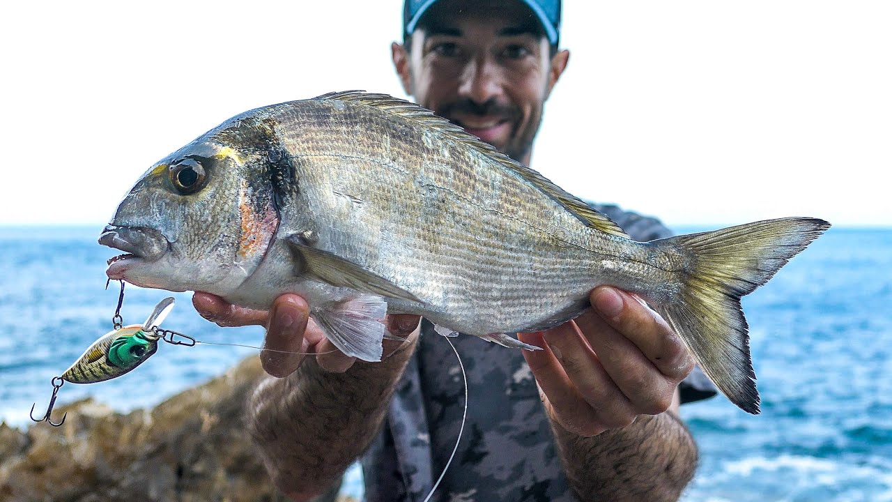 Una SCADUTA ESTIVA ricca di SORPRESE e tante specie diverse