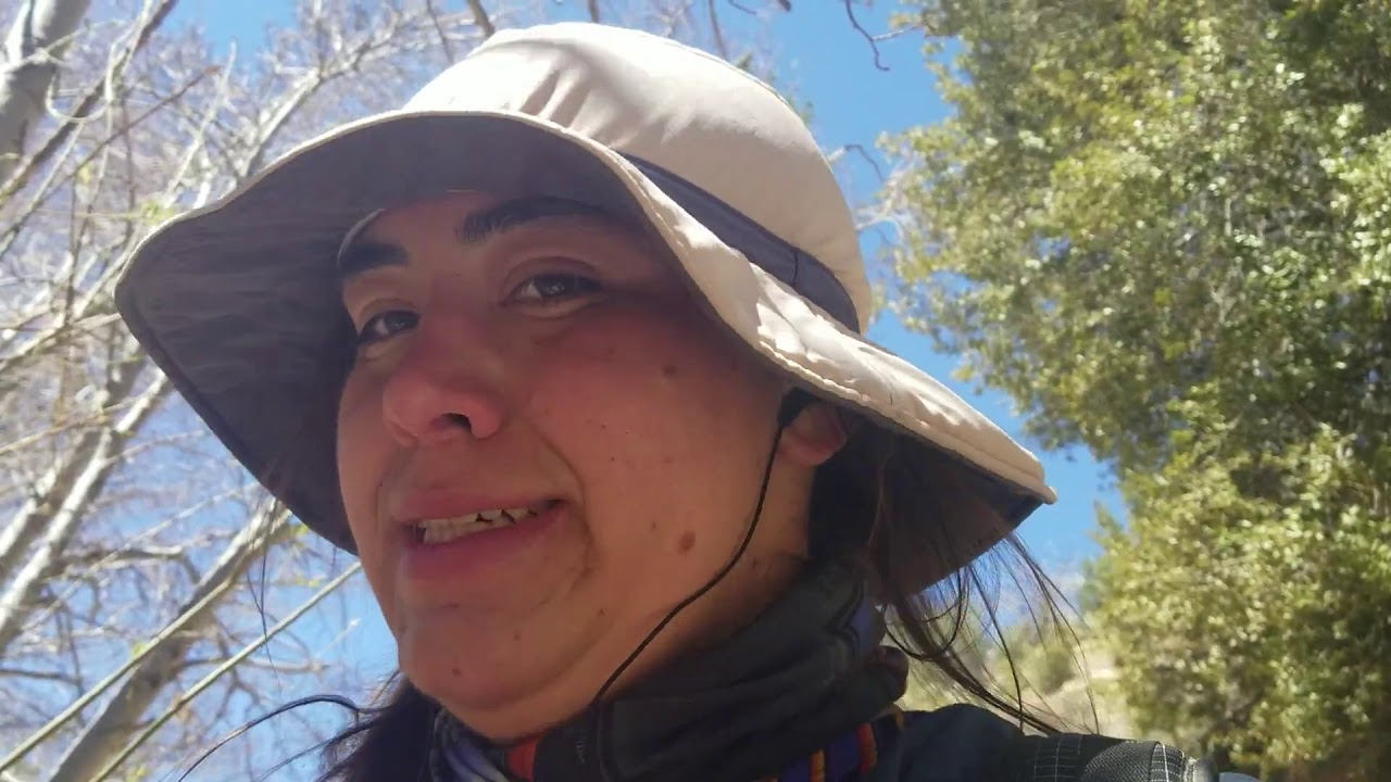 PCT 2019 Day 23  Hiking on to Splinters Cabin.