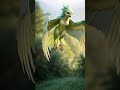 bird flying in sky