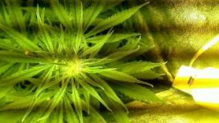 20100428.avi