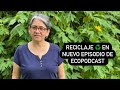 Reciclar, tarea vital para el planeta. Nuevo episodio de EcoPodcast
