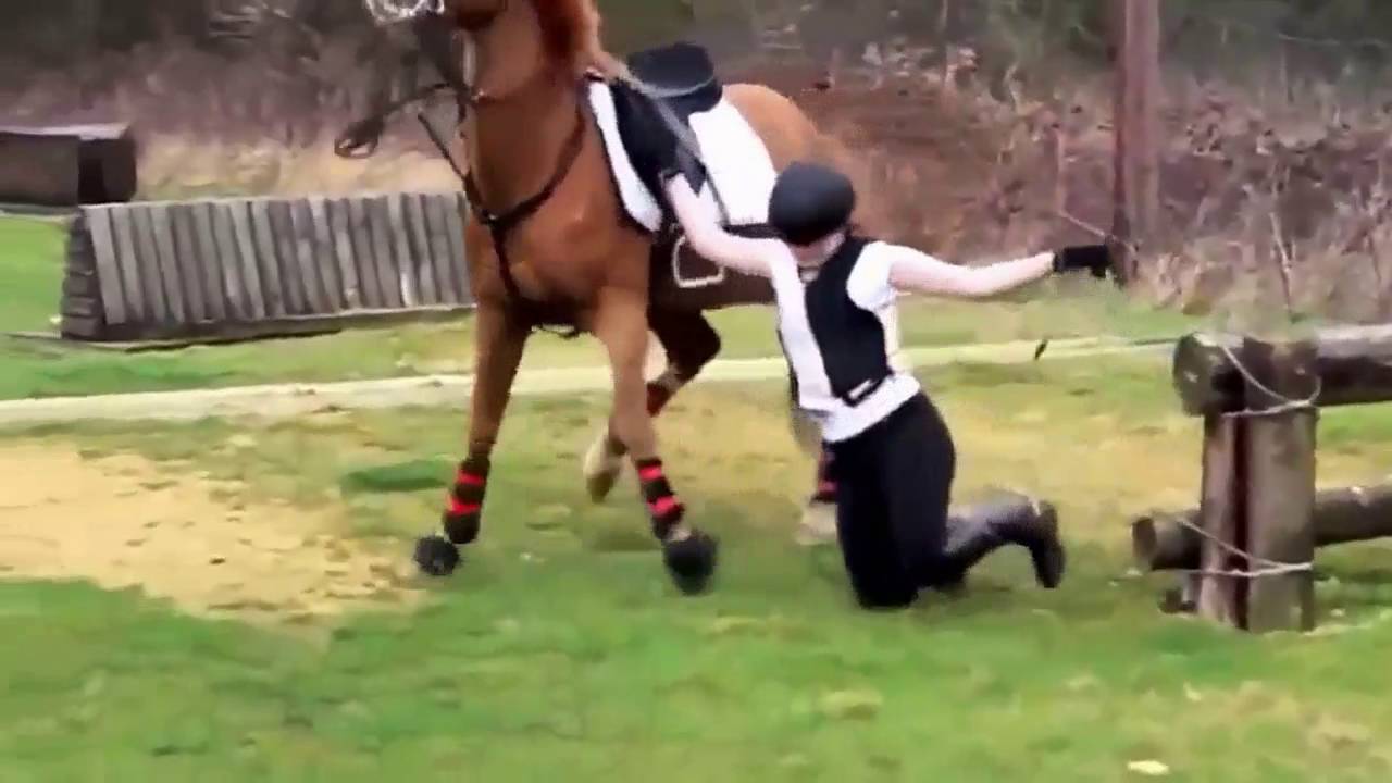 Funny horse fails funny horse compilation funny animal videos YouTube