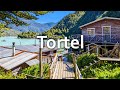 The Village with No Car, just Wooden Walkways 🚶 | Caleta Tortel, Chile 4k 🇨🇱