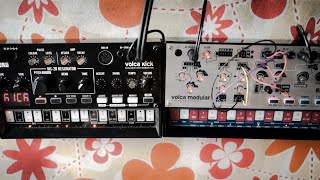 Korg Volca Modular / Korg Volca Kick - one more tune