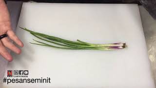 5jenis potongan daun bawang