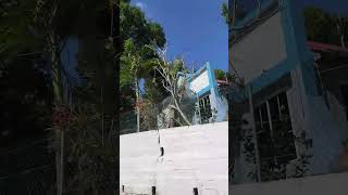 Albion Mountain Seventh Day Baptist Temple Church, St Mary, Jamaica