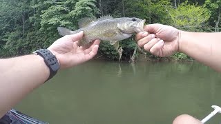 Coleman Crawdad Adventures Ep.1 || North Fork New River-Ashe County, NC ||