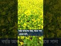 - বাংলার প্রকৃতি - #reelsfypシ #reelsfbシ #short #shortsvideos -