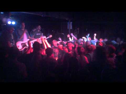 Bayside Live in