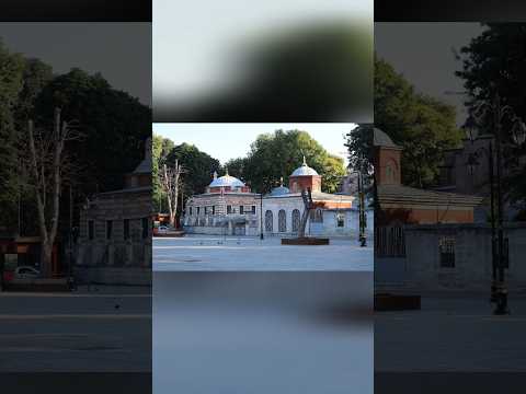 Har Desh Mein Gujenga Ya Rasullah Naat Shorts Islamicmusic