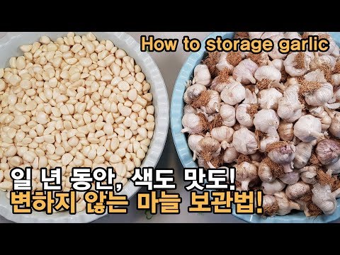 마늘보관법 ! 깐 마늘 다진마늘 보관방법 ! 마늘한접 일 년도 변하지 않게 보관하기 ! How to storage garlic.[백길월의 한식요리]