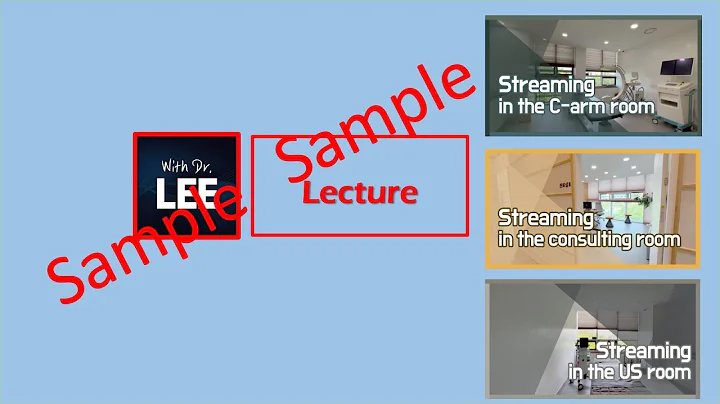 Two handed technique for the effective ultrasound-guided procedure, from the basic