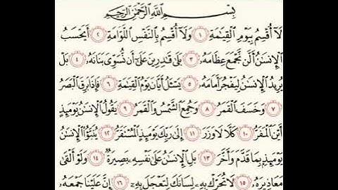 تلاوة جميلة ومؤثرة ما شاء الله اللهم بارك 💔