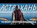 Рыбалка в Астрахани . Не клевал судак, уехали на сазана