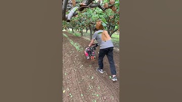 Mini Tiller Machine in Action | Powerful Farming Tool for Easy Soil Preparation part 780