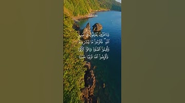 تلاوة هادئة تريح الأعصاب 😴🎧أرح سمعك