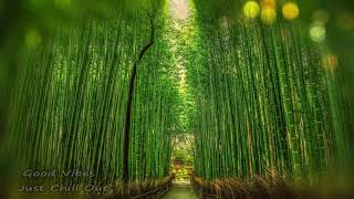 Lau tzu entru   | 1 Hour | Loop | Chill Music