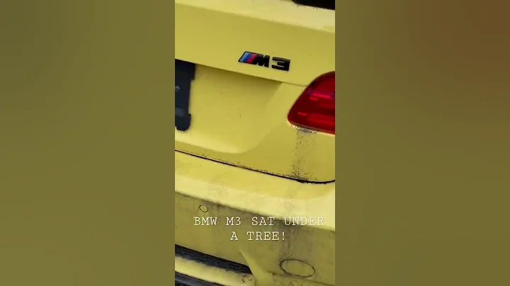 Saving this BMW M3 required wetsanding and multiple stages of paint correction