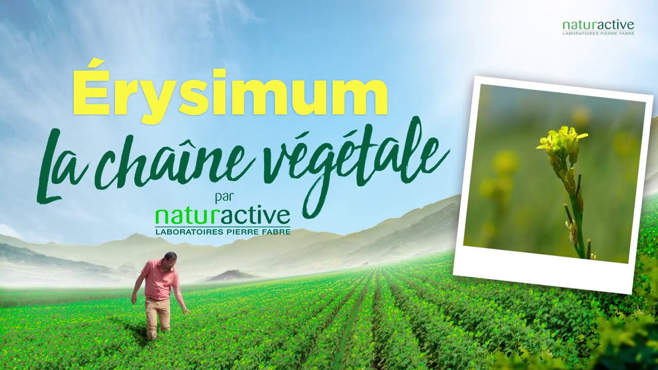 La chaîne végétale Naturactive: Erysimum