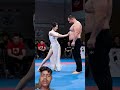 #taekwondo #mma #wrestling #fight #kungfu #boxing #wwe #wushufight