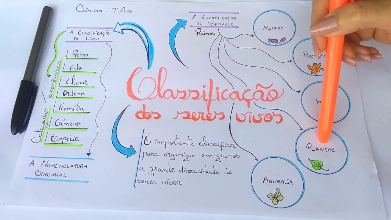 Classificação dos seres vivos (7º ano)
