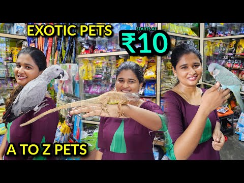 Exotic Pet Starts At 10 | A To Z Pet Accessories