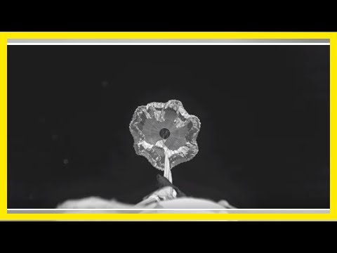 Watch nasa test