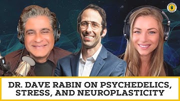 Dr. Dave Rabin on Psychedelics, Stress, and Neuroplasticity