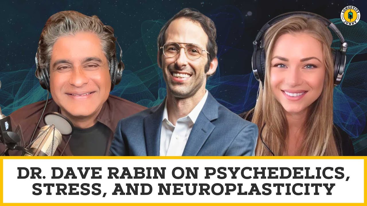 Dr. Dave Rabin on Psychedelics, Stress, and Neuroplasticity - YouTube