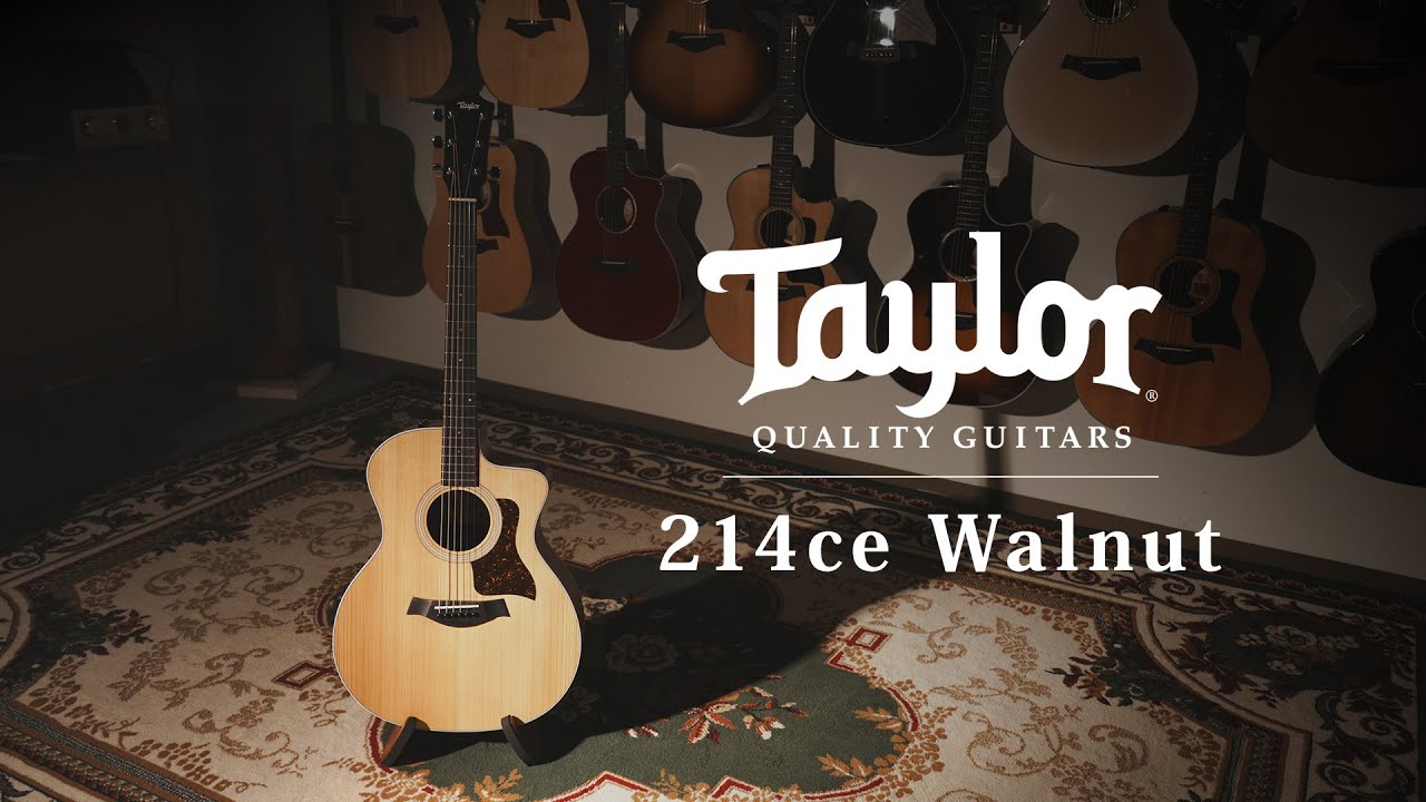 Taylor 214ce Walnut / MION introduction - YouTube