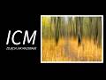 ICM - Intentional Camera Movement - czyli zdjęcia które wyglądają jak impresjonistyczne obrazy