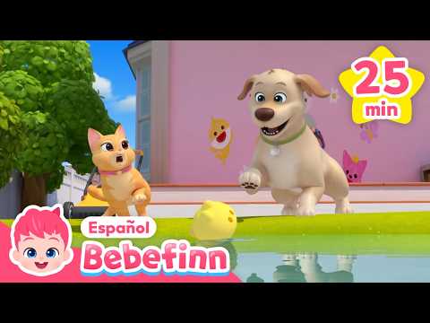 Gatito Boo🐱 Perrito Mandoo🐶 | Canción de Gato & Perro | Canciones Infantiles | Bebefinn en español